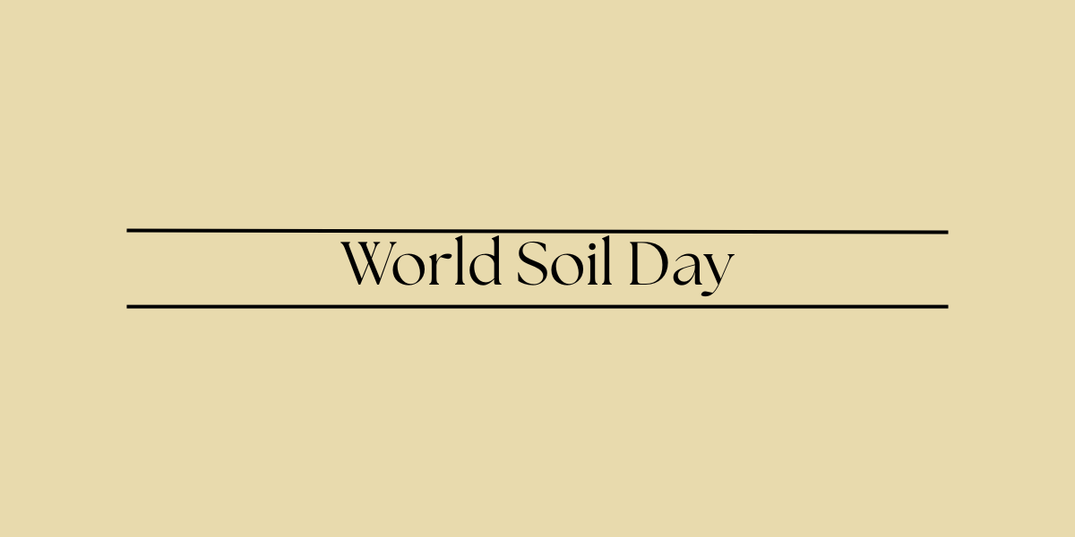 World Soil Day