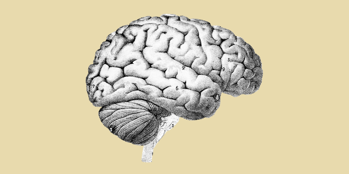Citations Don’t Equal Quality: Let’s Talk About It