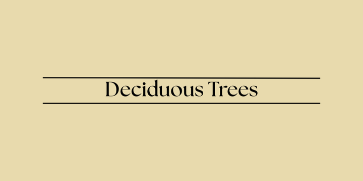 Deciduous Trees