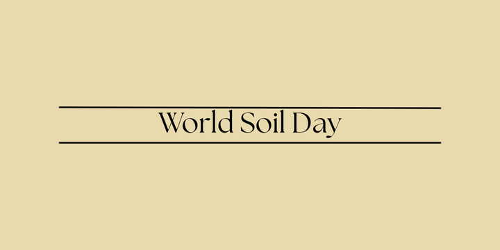 World Soil Day
